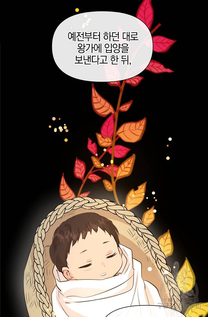 황금숲 37화 39