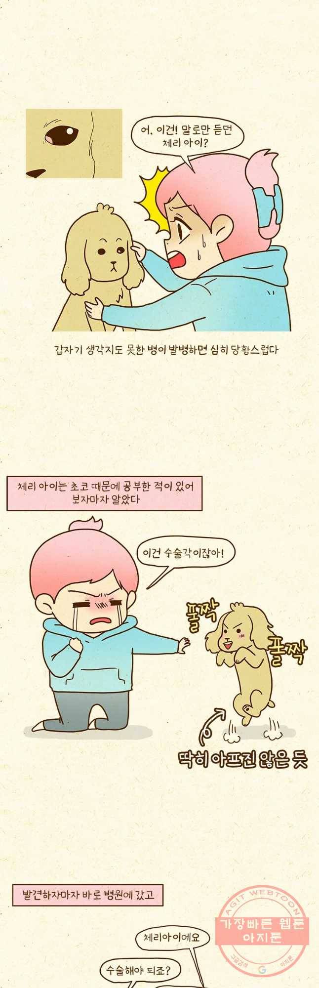 반지하셋방 244화 중성화수술 2
