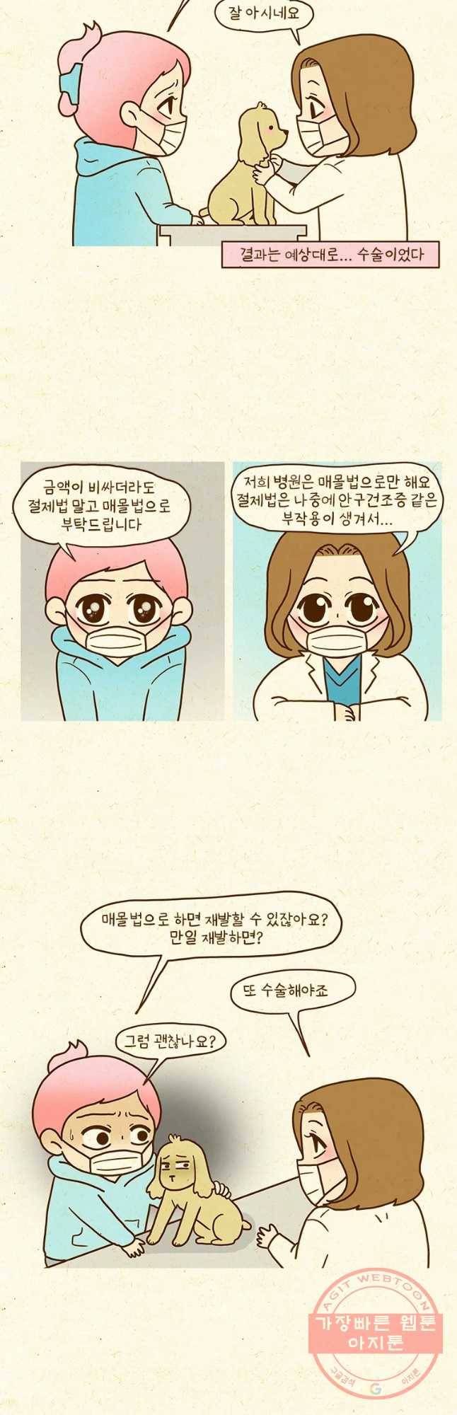 반지하셋방 244화 중성화수술 3