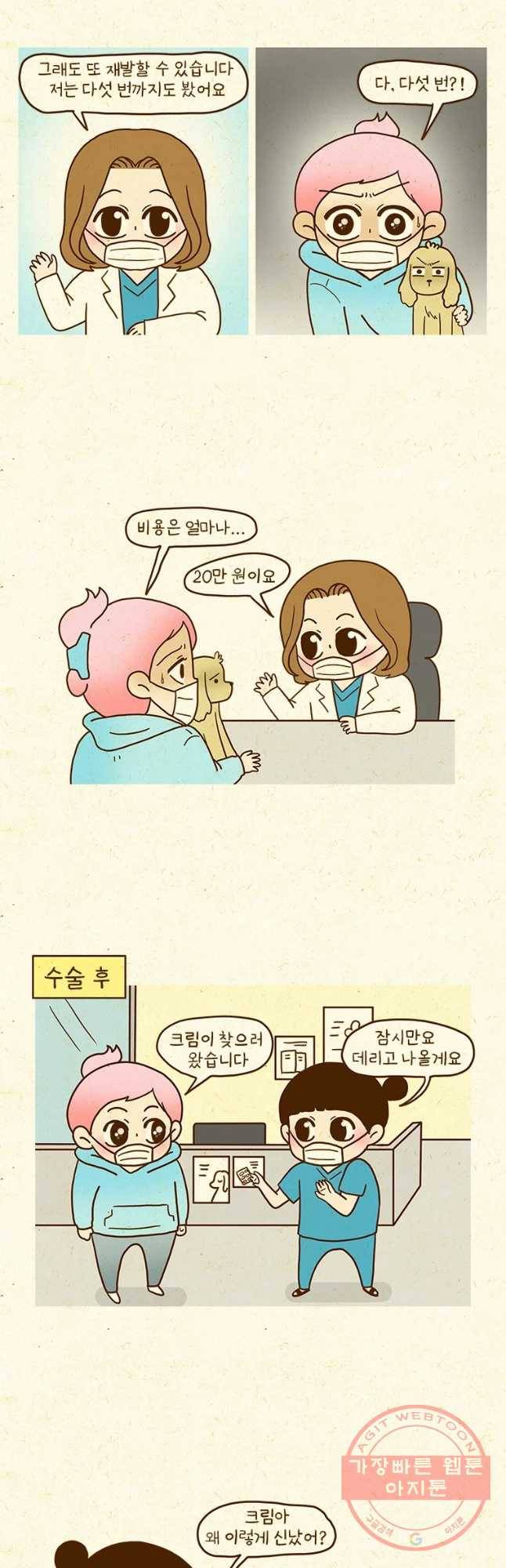 반지하셋방 244화 중성화수술 4