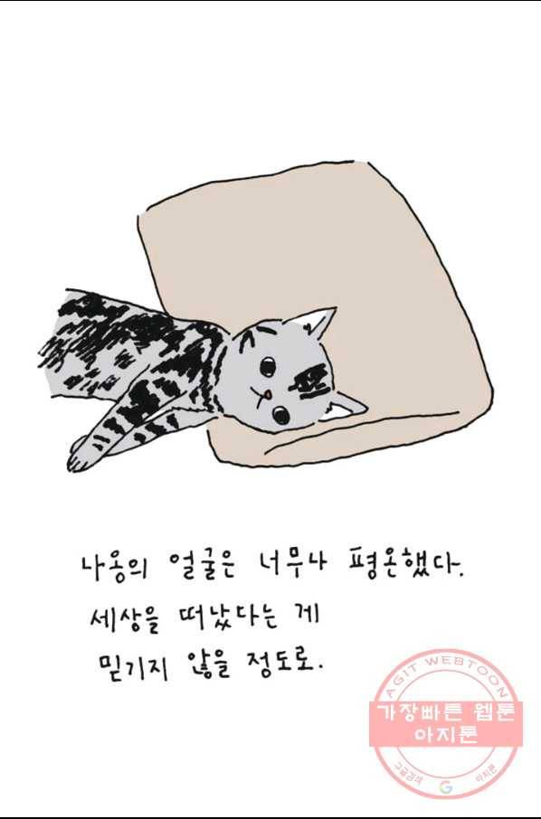 은동은동+옹동스 190화 나를 끝까지 사랑한 고양이 5