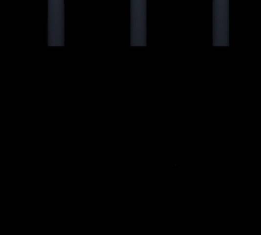 숨겨진 성녀 6화 110