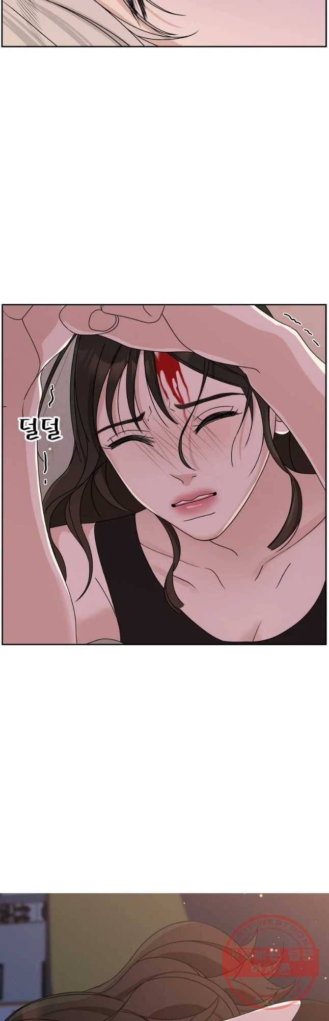 뱀파이어님의 대리식사 78화 치였다 34