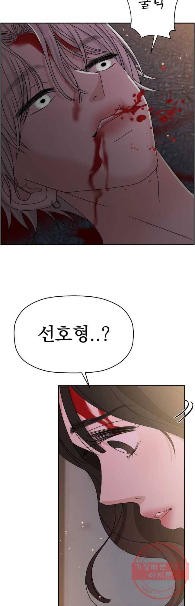 뱀파이어님의 대리식사 78화 치였다 37