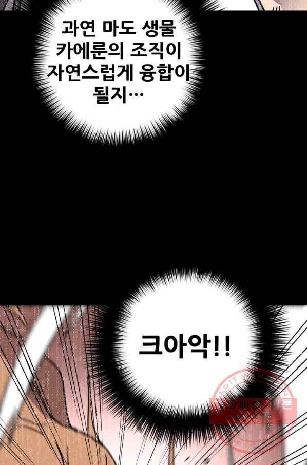 카르세아린 77화 17