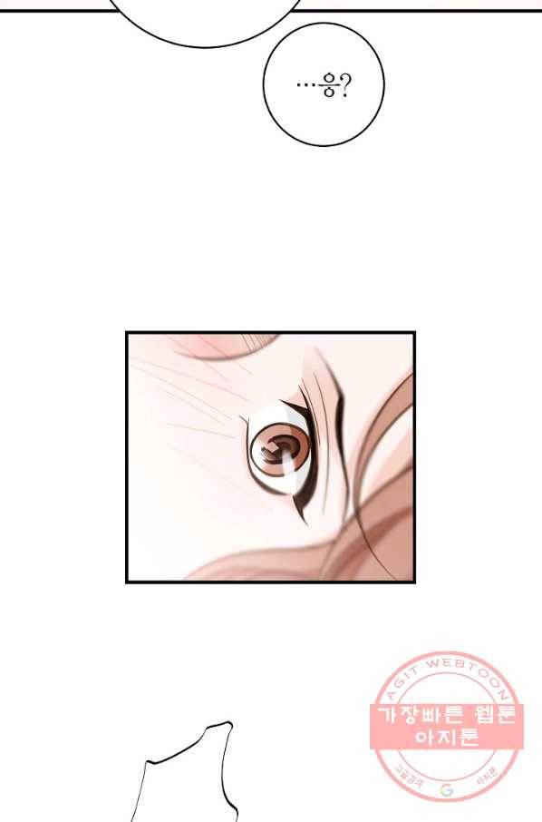 생존결혼 55화 8