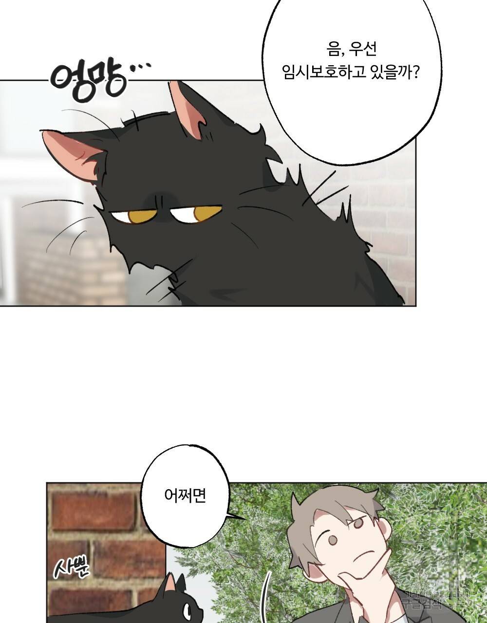 월간 가슴 크다냥 고양이 탐정 프롤로그 39