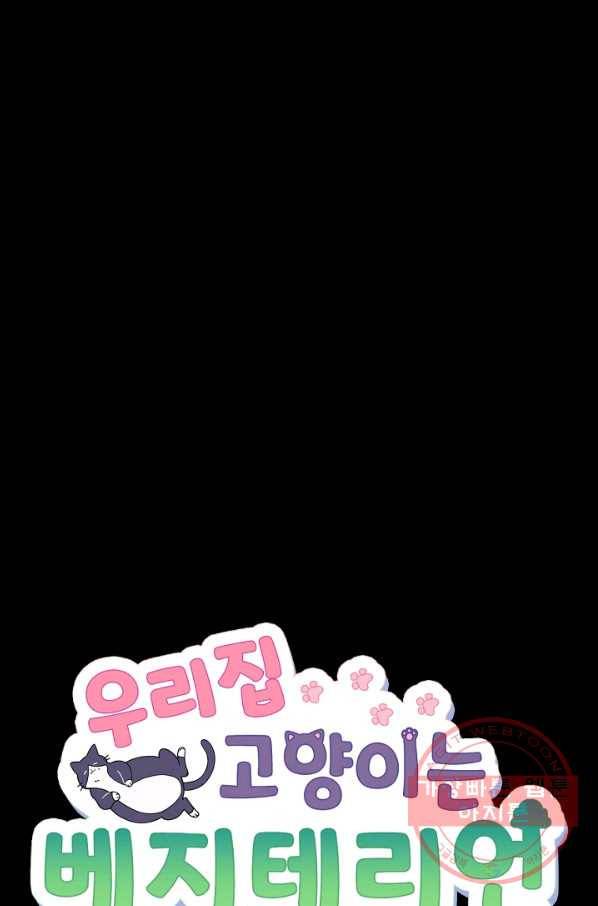 우리집 고양이는 베지테리언 입양을 허락해 주세요 20