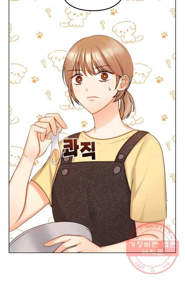 우리집 고양이는 베지테리언 입양을 허락해 주세요 36