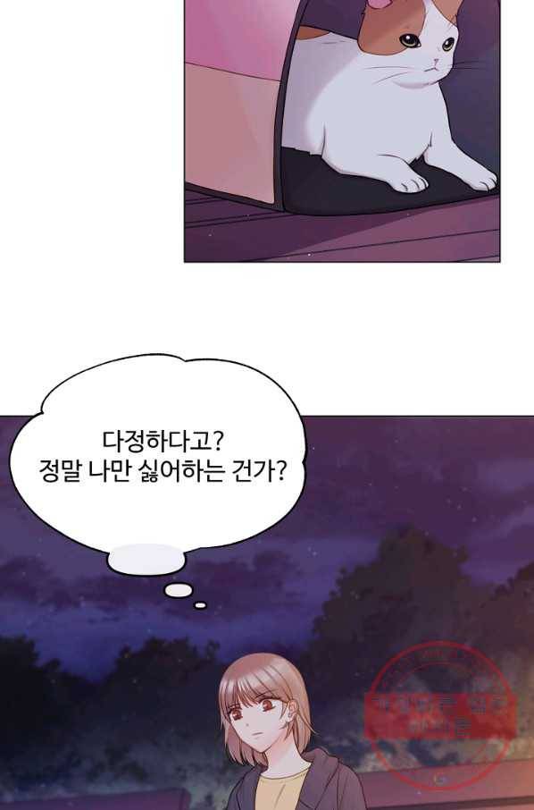 우리집 고양이는 베지테리언 입양을 허락해 주세요 39
