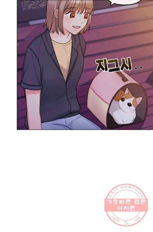 우리집 고양이는 베지테리언 입양을 허락해 주세요 41
