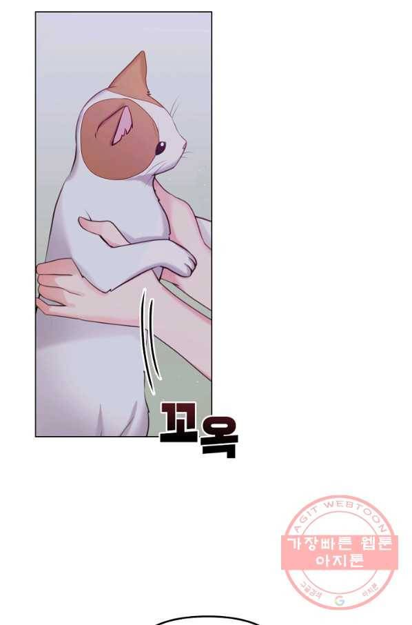 우리집 고양이는 베지테리언 입양을 허락해 주세요 42