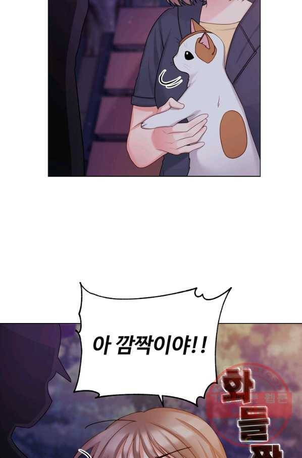 우리집 고양이는 베지테리언 입양을 허락해 주세요 46