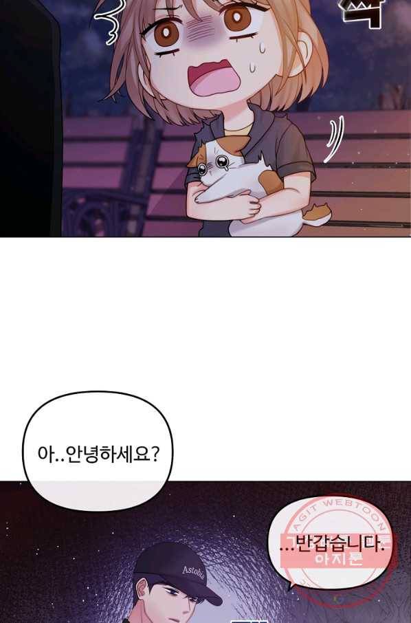 우리집 고양이는 베지테리언 입양을 허락해 주세요 47