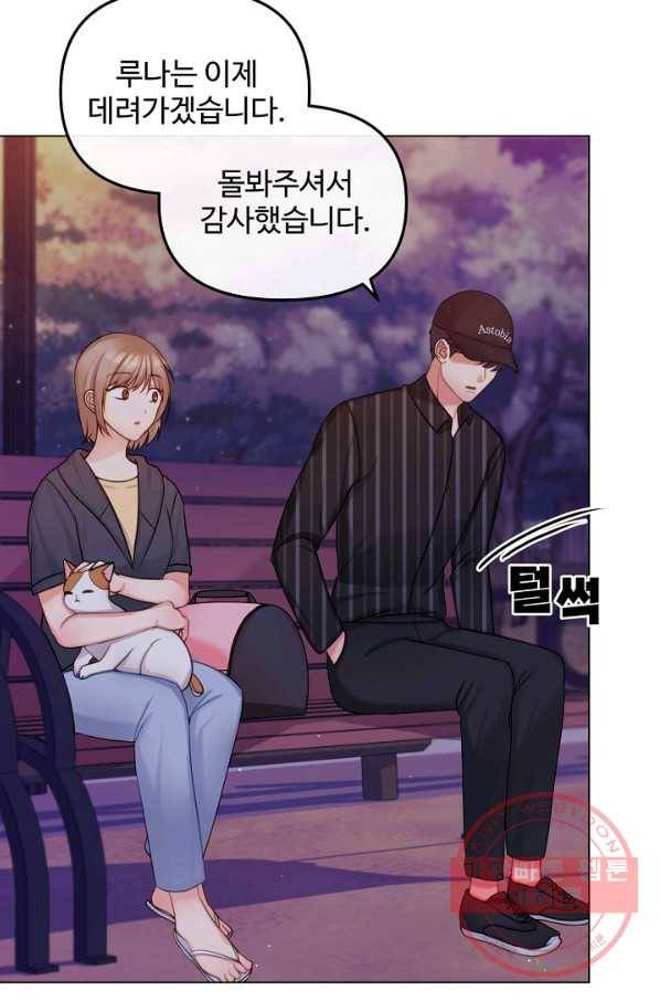 우리집 고양이는 베지테리언 입양을 허락해 주세요 49