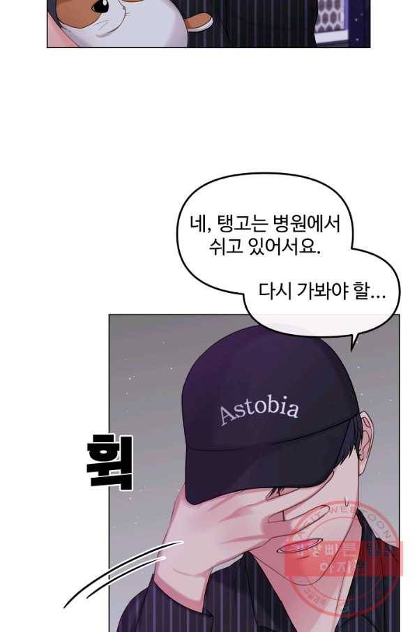 우리집 고양이는 베지테리언 입양을 허락해 주세요 51