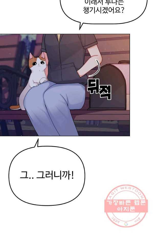 우리집 고양이는 베지테리언 입양을 허락해 주세요 55