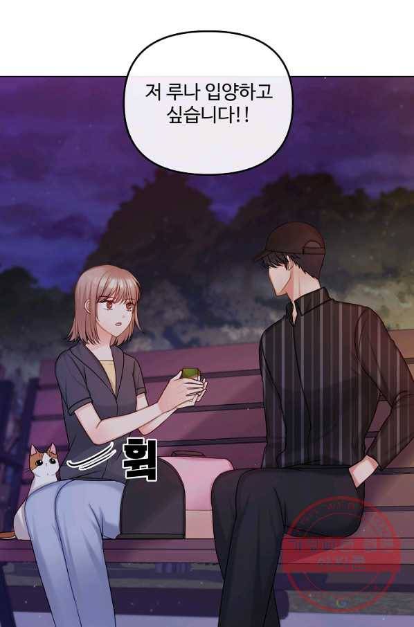 우리집 고양이는 베지테리언 입양을 허락해 주세요 56