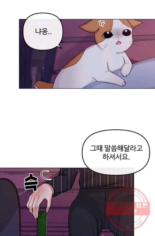 우리집 고양이는 베지테리언 입양을 허락해 주세요 63