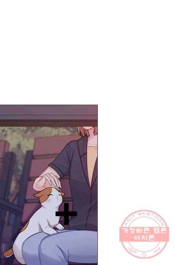 우리집 고양이는 베지테리언 입양을 허락해 주세요 74