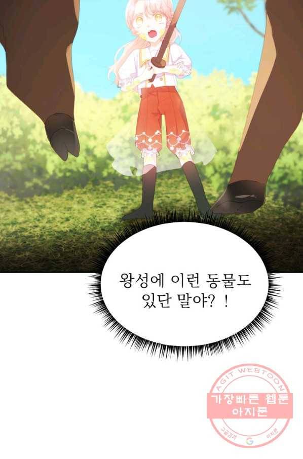 베이비 드래곤 31화 13