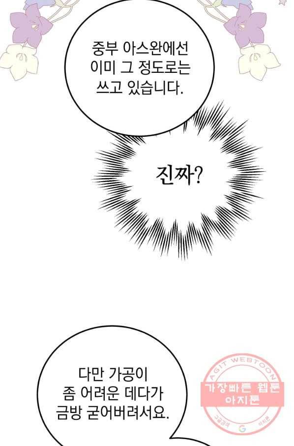 여왕 쎄시아의 반바지 77화 2