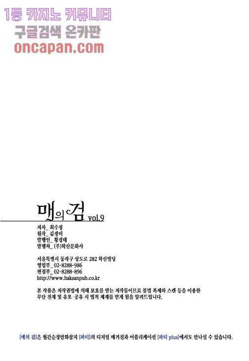 매의 검 9화 22