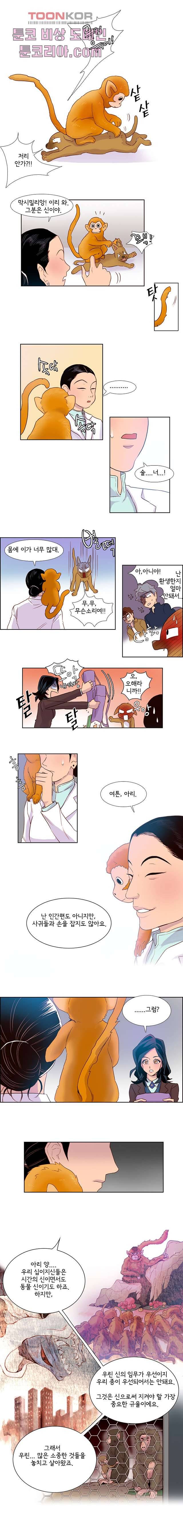 신시 12화 2