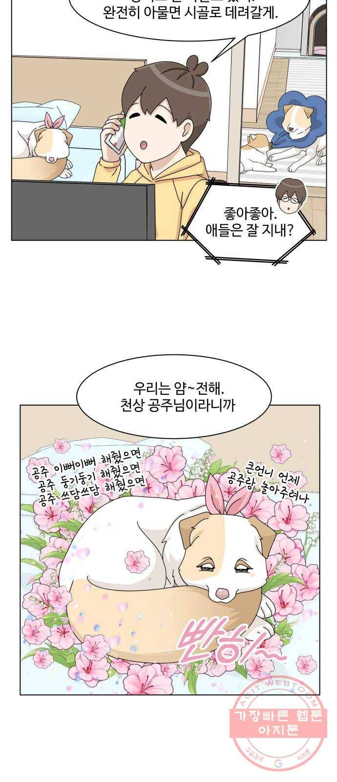 개를 낳았다 시즌2 75화 2
