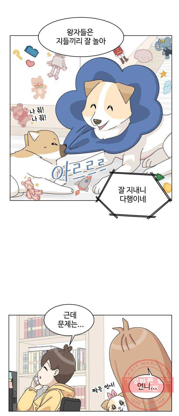 개를 낳았다 시즌2 75화 3
