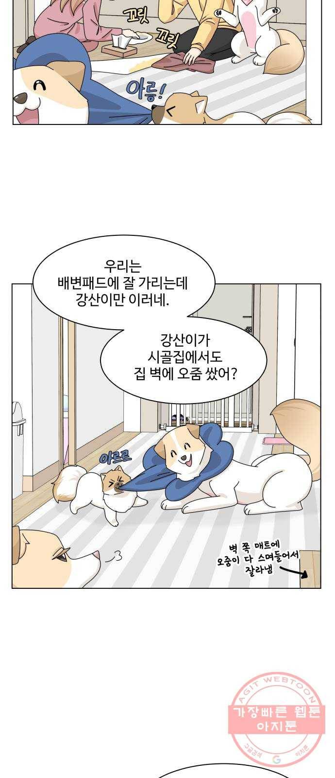 개를 낳았다 시즌2 75화 5