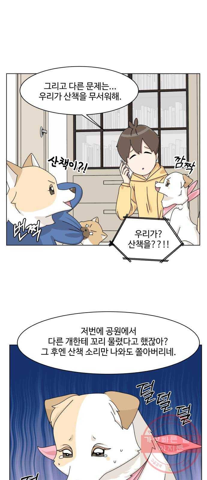 개를 낳았다 시즌2 75화 8