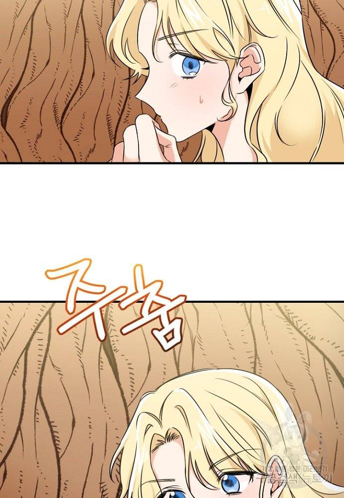 어쩌다 보니 왕자님을 키워버렸어요 2화 13