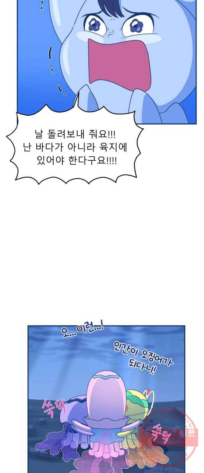 오징어도 사랑이 되나요? 35화 12