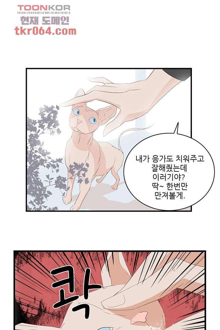 드라이 플라워 (Dry flower) 9화 26