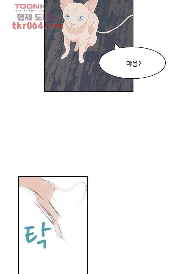 드라이 플라워 (Dry flower) 9화 43