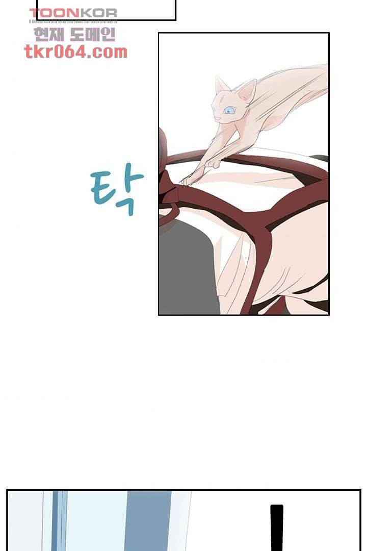 드라이 플라워 (Dry flower) 9화 44