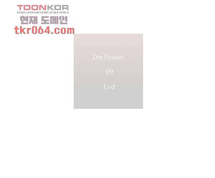 드라이 플라워 (Dry flower) 9화 64