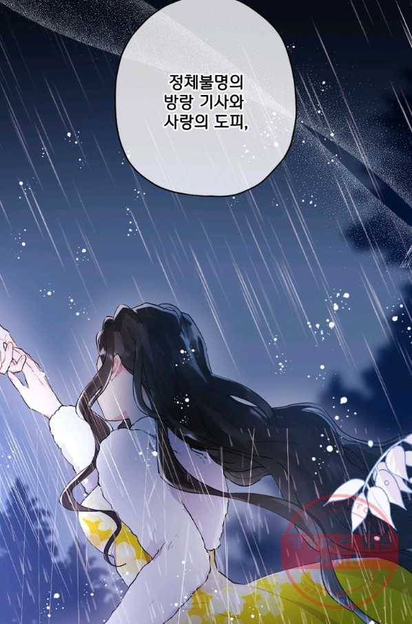 남주의 입양딸이 되었습니다 39화(새해 특전 일러) 16