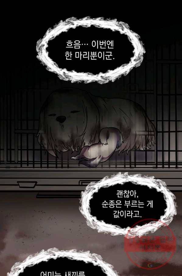 에스티오 14화 24