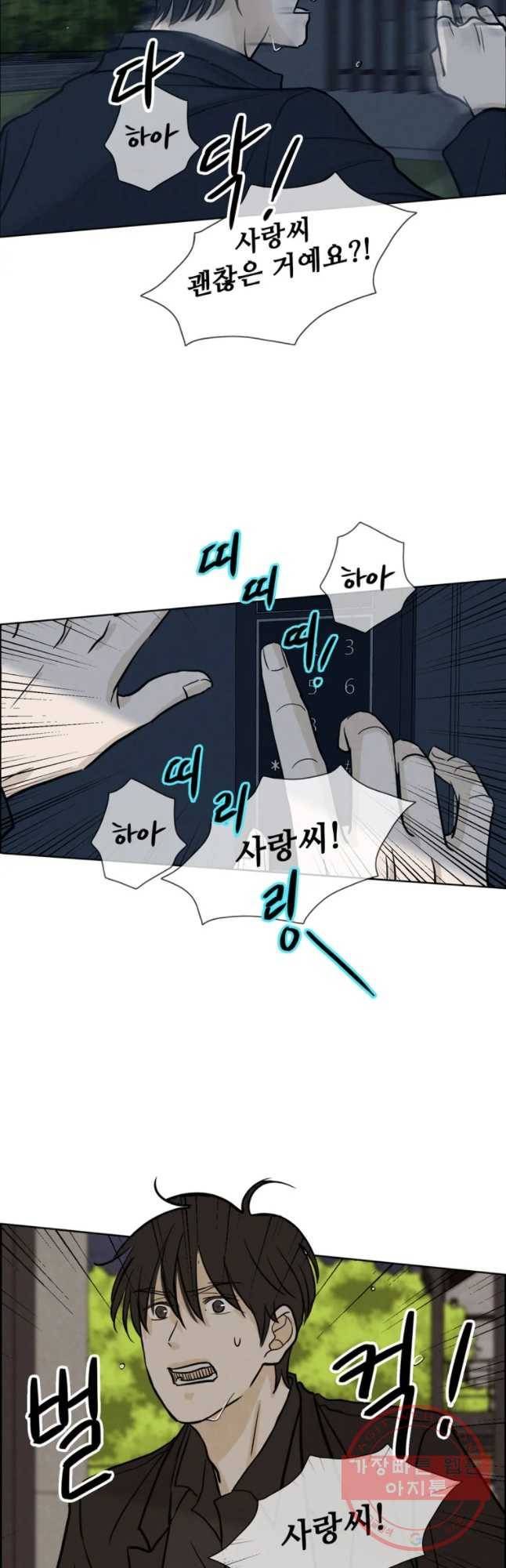신랑이 사라졌다 47화 그놈이다 11