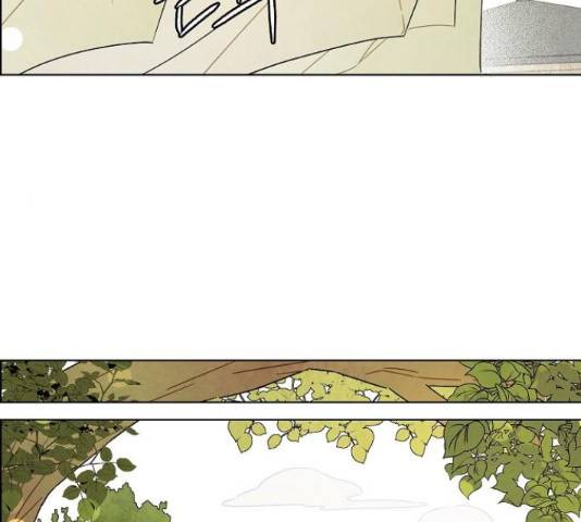남주의 첫날밤을 가져버렸다 79화 14