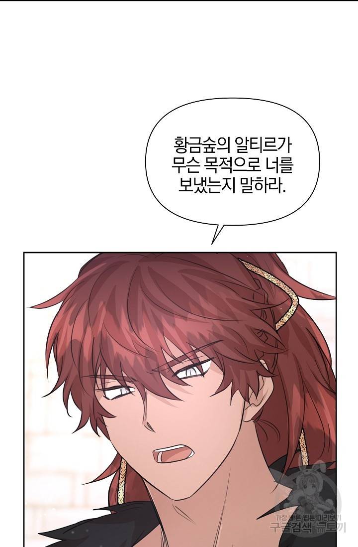 황금숲 48화 33