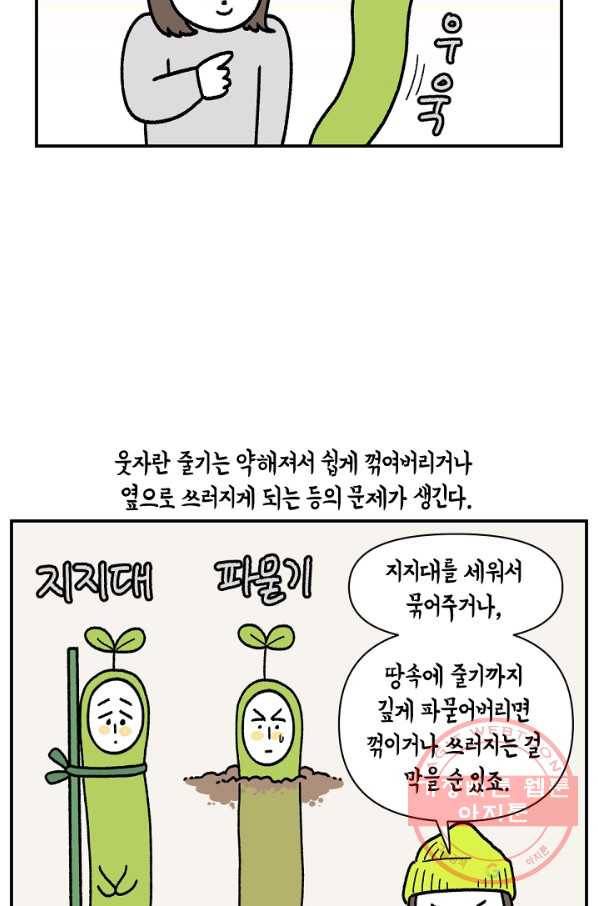 크레이지 가드너 25화 웃자람과 식물 조명 14