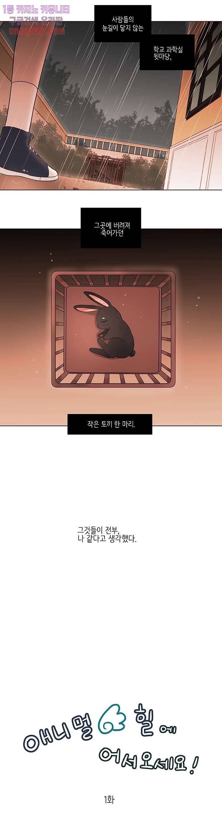 루나샵에 어서오세요:애니멀 힐 40화 시즌2 2