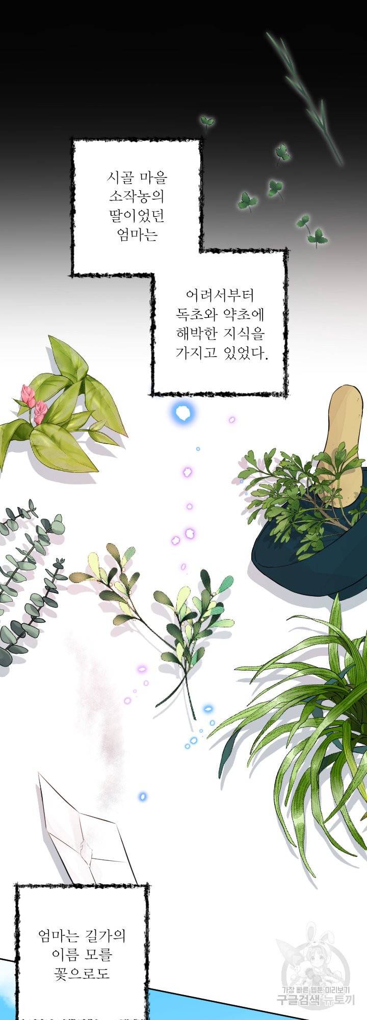 오필리어가 공작가를 벗어나지 못하는 이유 045 38