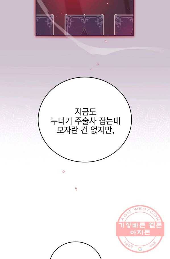BJ대마도사 20화 17
