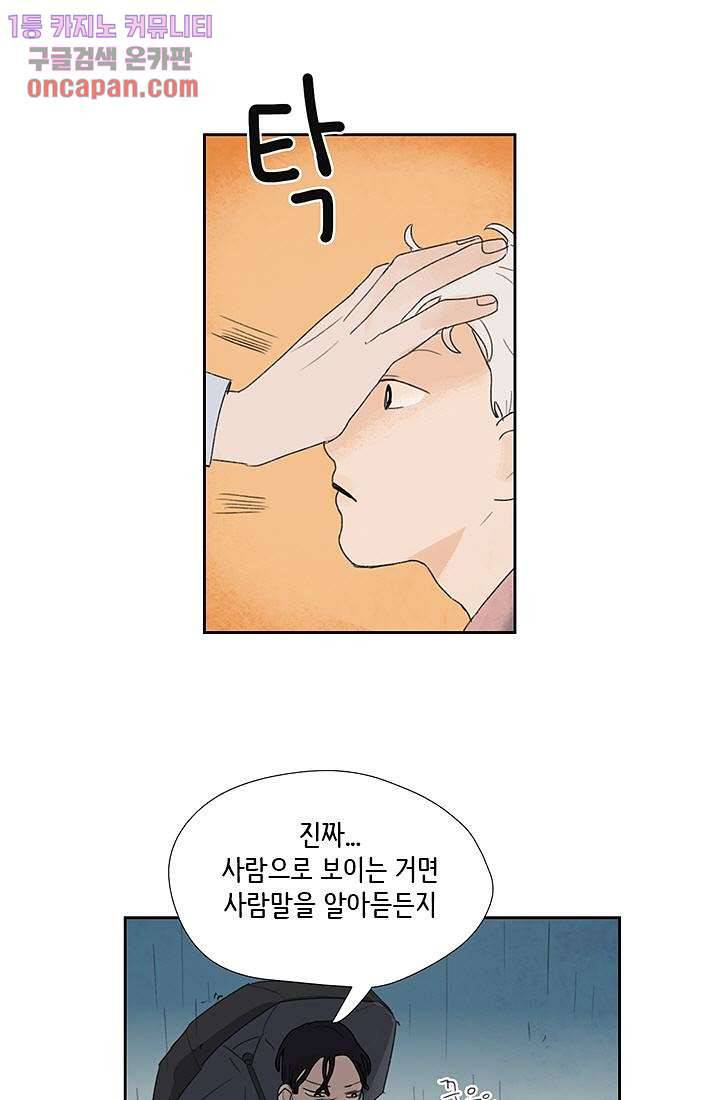 마이 러블리 투투 16화 5