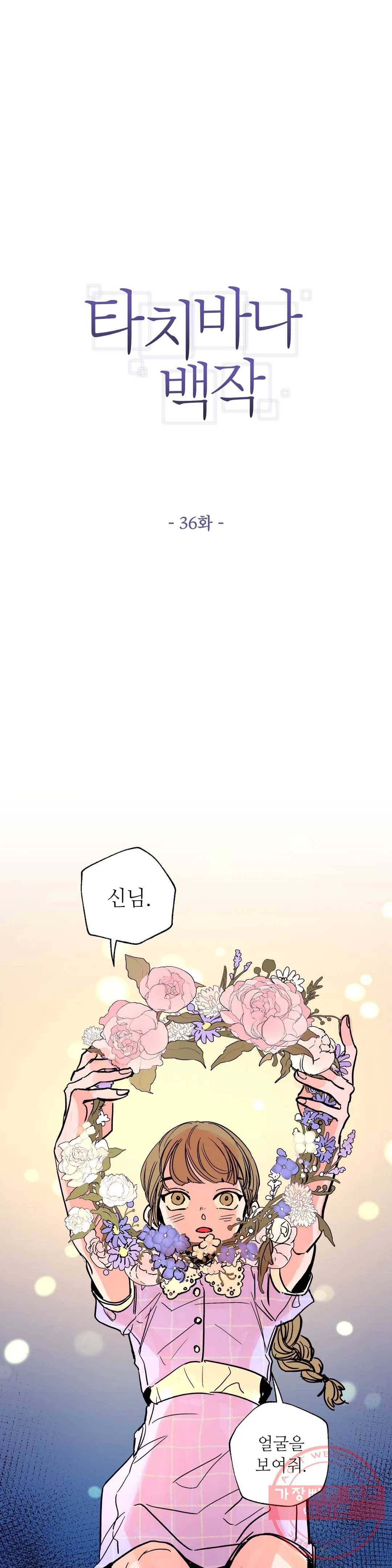 타치바나 백작 36화 1