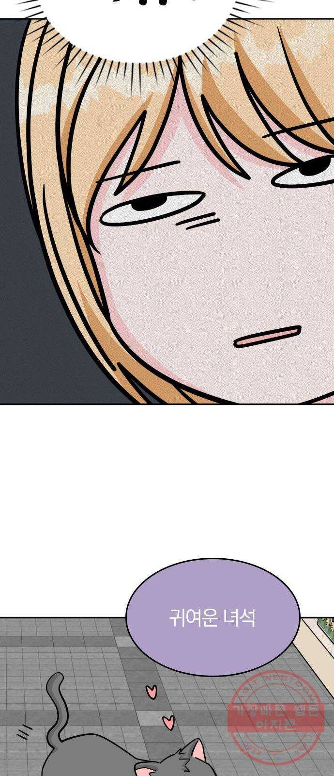 남주서치 11화 36